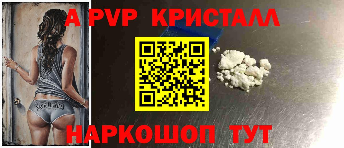 Альфа ПВП СК КРИС Сегежа
