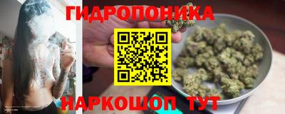 кокс Гатчина