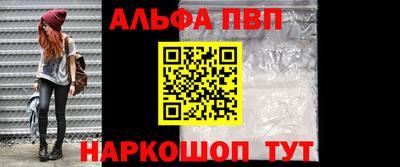 кокс Гатчина